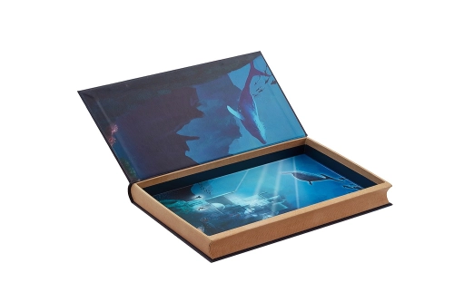 From White Sample to Mass Production: How Custom Rigid Box Sampling Works